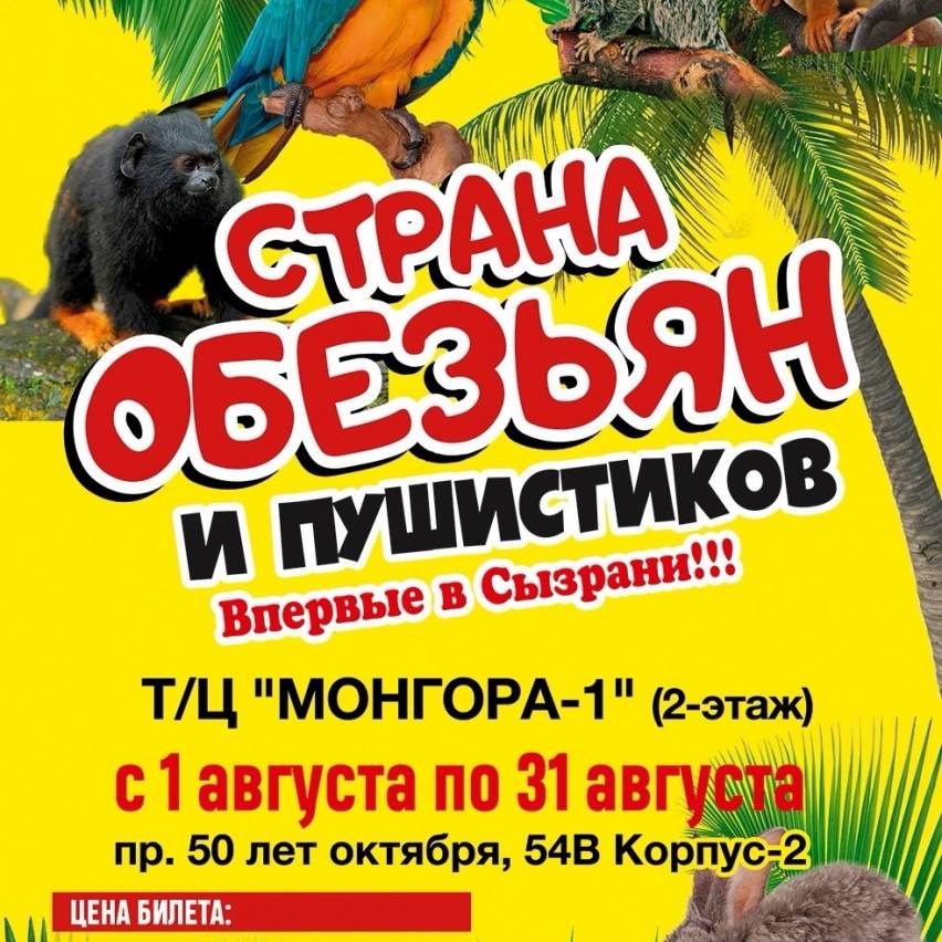 Впервые в Сызрани! 🎉 Выставка 