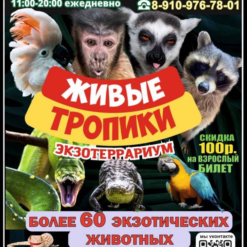 Сызрань, встречай Живые Тропики🐒